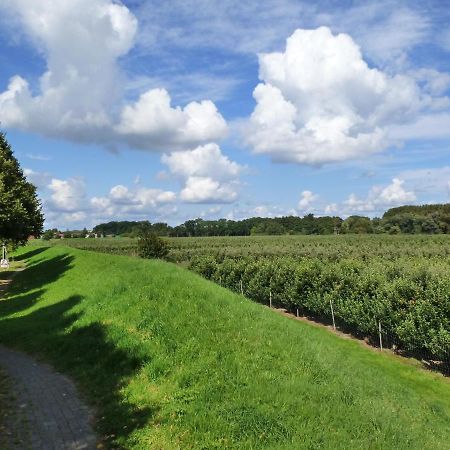 Fewo Im Alten Land Hamburg-Harburg Exteriör bild