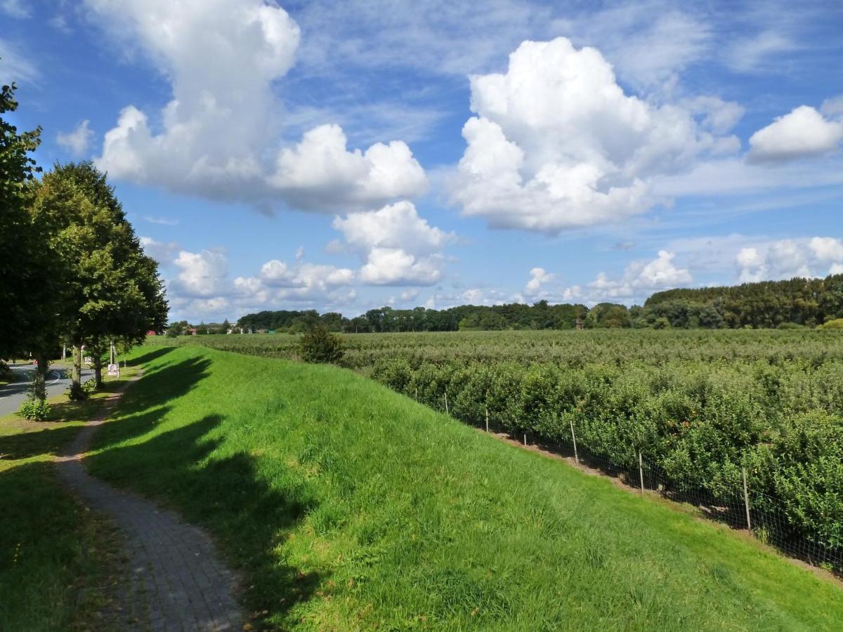 Fewo Im Alten Land Hamburg-Harburg Exteriör bild