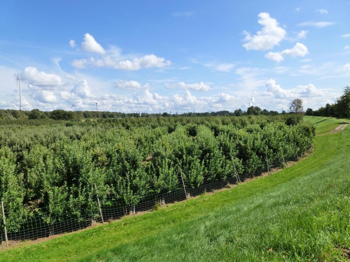 Fewo Im Alten Land Hamburg-Harburg Exteriör bild