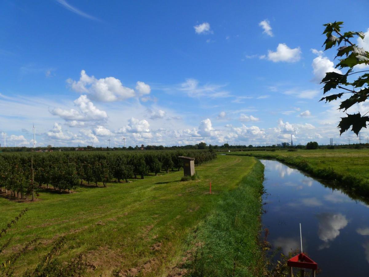 Fewo Im Alten Land Hamburg-Harburg Exteriör bild